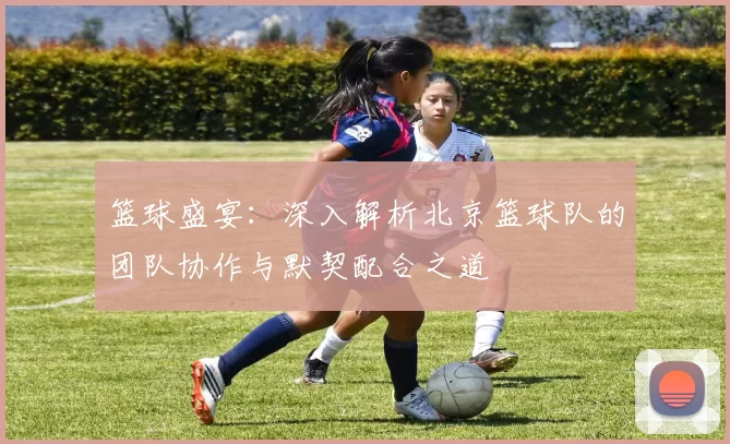 篮球盛宴：深入解析北京篮球队的团队协作与默契配合之道